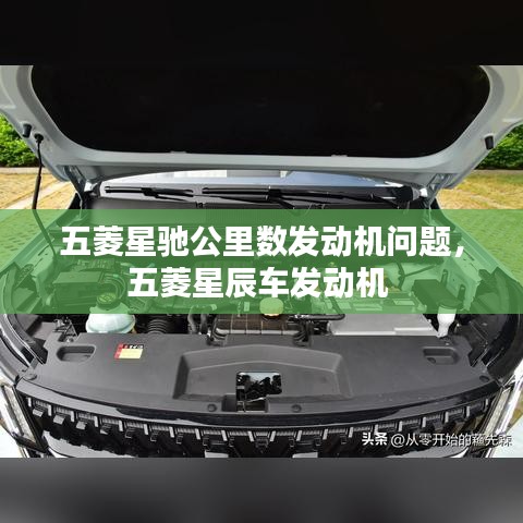 张牙舞爪 第2页
