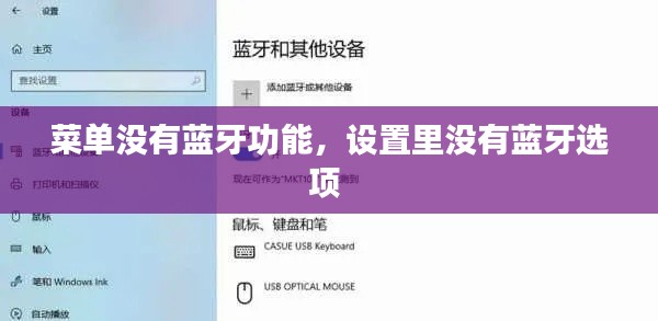 菜单没有蓝牙功能，设置里没有蓝牙选项 