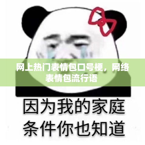 网上热门表情包口号梗，网络表情包流行语 