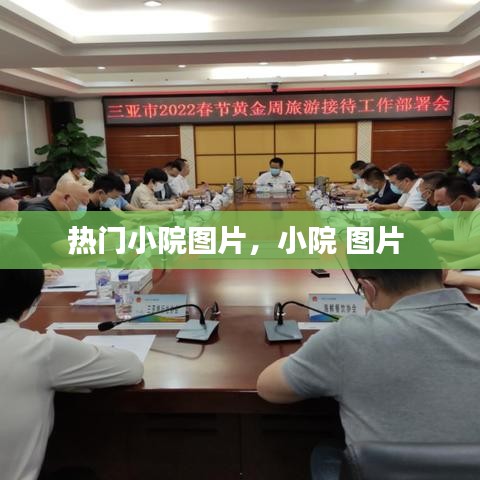 热门小院图片，小院 图片 