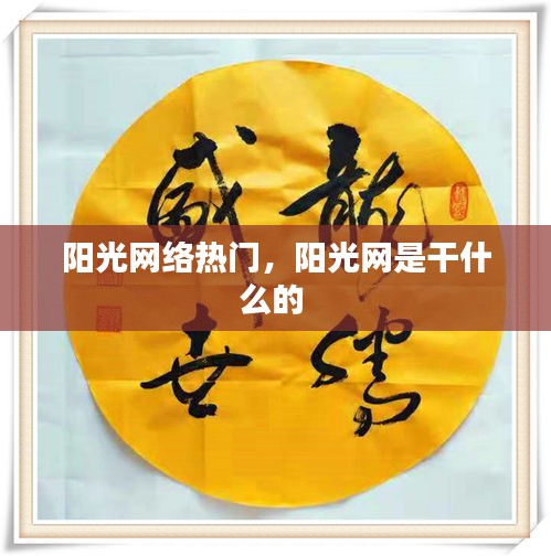 阳光网络热门，阳光网是干什么的 
