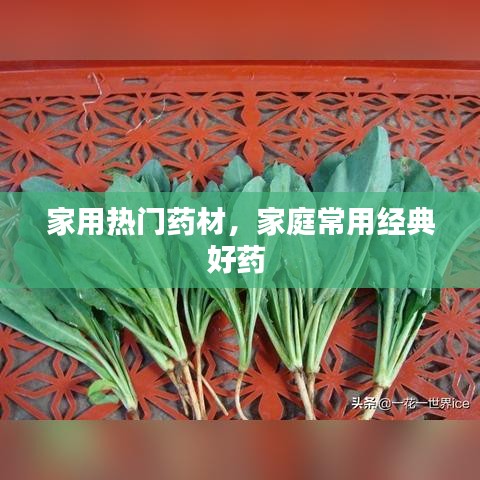 家用热门药材，家庭常用经典好药 