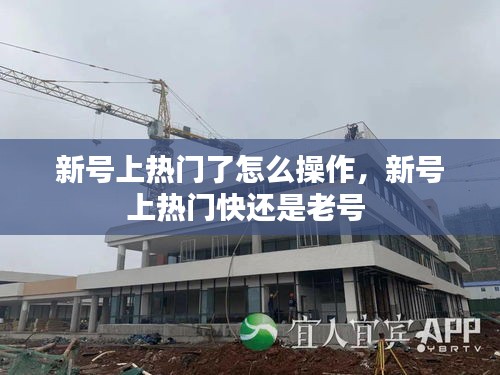 新号上热门了怎么操作，新号上热门快还是老号 