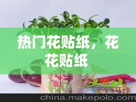 热门花贴纸，花花贴纸 