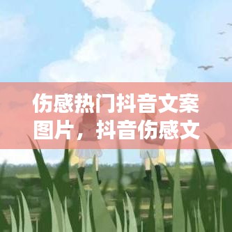 伤感热门抖音文案图片，抖音伤感文案大全,抖音爆火文案 
