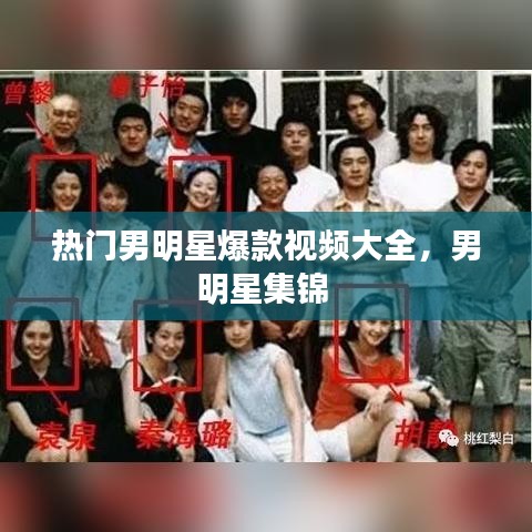 热门男明星爆款视频大全，男明星集锦 