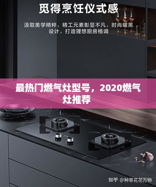 最热门燃气灶型号，2020燃气灶推荐 