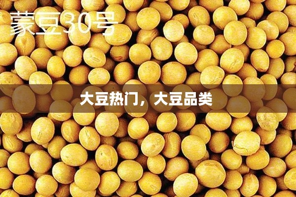 删华就素 第2页