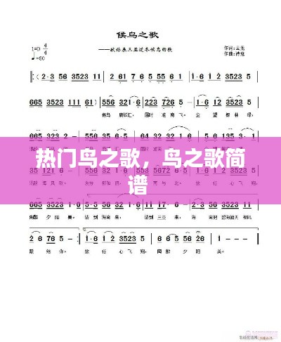 热门鸟之歌，鸟之歌简谱 