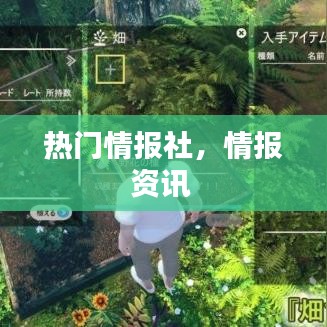 热门情报社，情报资讯 