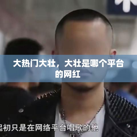 大热门大壮，大壮是哪个平台的网红 