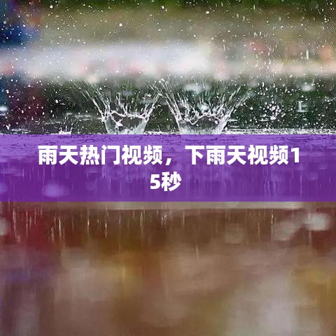 洵属可贵 第2页