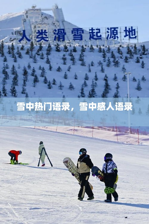 雪中热门语录，雪中感人语录 