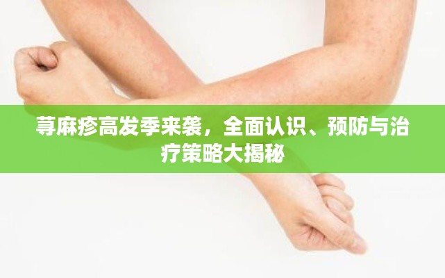 荨麻疹高发季来袭，全面认识、预防与治疗策略大揭秘