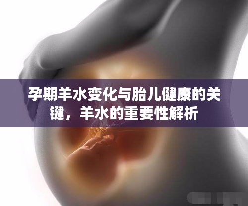 孕期羊水变化与胎儿健康的关键，羊水的重要性解析