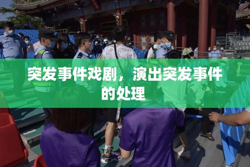 突发事件戏剧，演出突发事件的处理 
