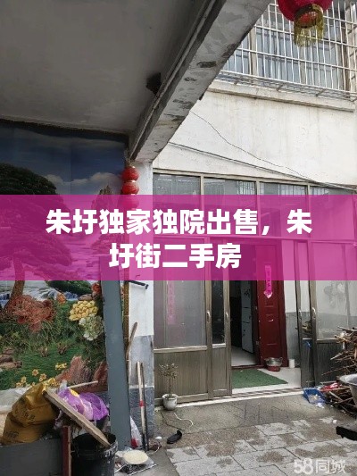 朱圩独家独院出售，朱圩街二手房 
