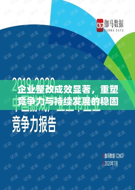 企业整改成效显著，重塑竞争力与持续发展的稳固基石