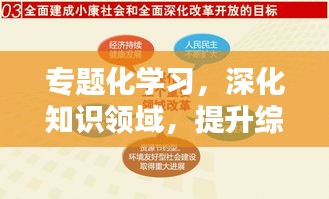 专题化学习，深化知识领域，提升综合素质，打造全方位人才