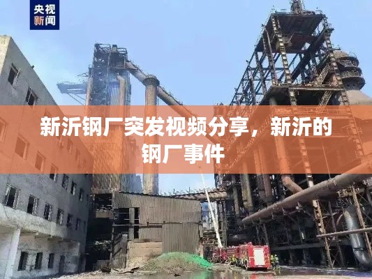 新沂钢厂突发视频分享，新沂的钢厂事件 