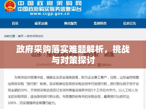 政府采购落实难题解析，挑战与对策探讨