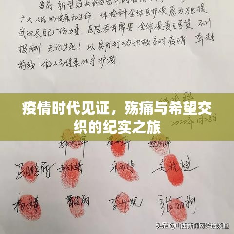 疫情时代见证，殇痛与希望交织的纪实之旅