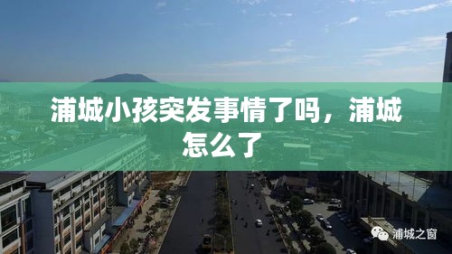 浦城小孩突发事情了吗，浦城怎么了 
