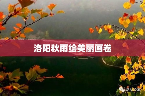 洛阳秋雨绘美丽画卷