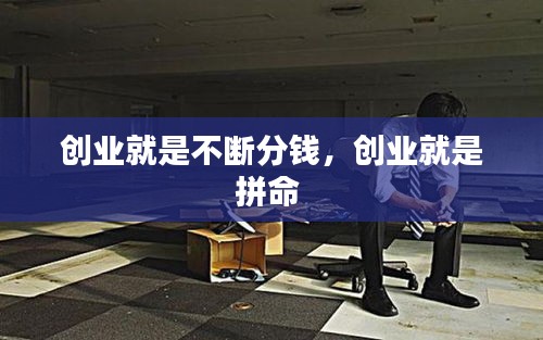 创业就是不断分钱，创业就是拼命 