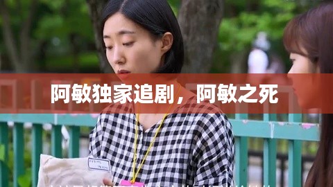 阿敏独家追剧，阿敏之死 