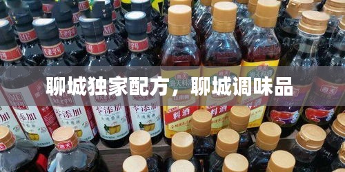 聊城独家配方，聊城调味品 