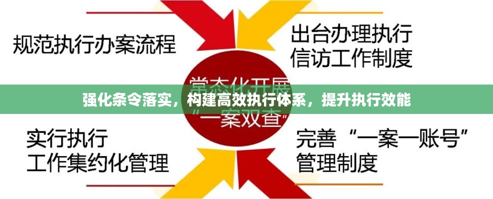 强化条令落实，构建高效执行体系，提升执行效能