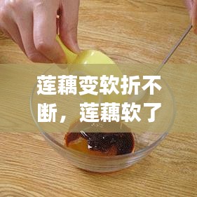 莲藕变软折不断，莲藕软了是因为什么 