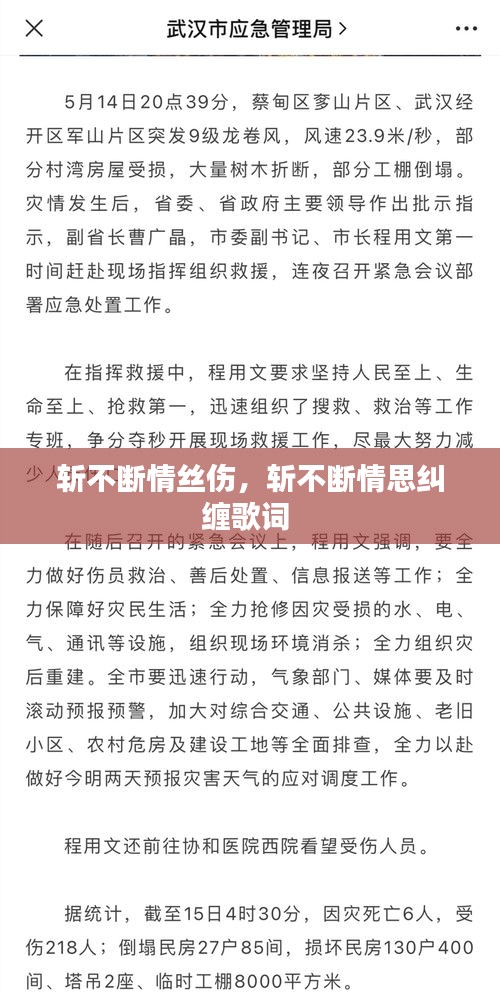 斩不断情丝伤，斩不断情思纠缠歌词 