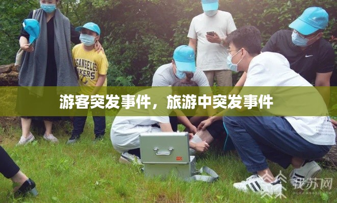 游客突发事件，旅游中突发事件 