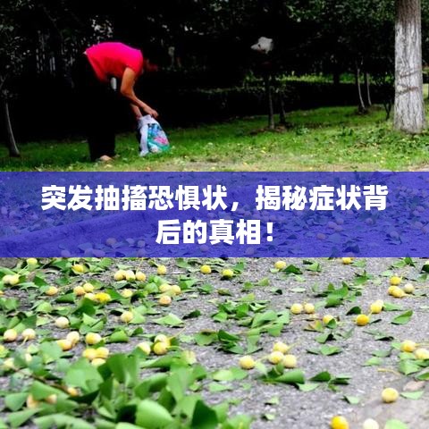突发抽搐恐惧状，揭秘症状背后的真相！