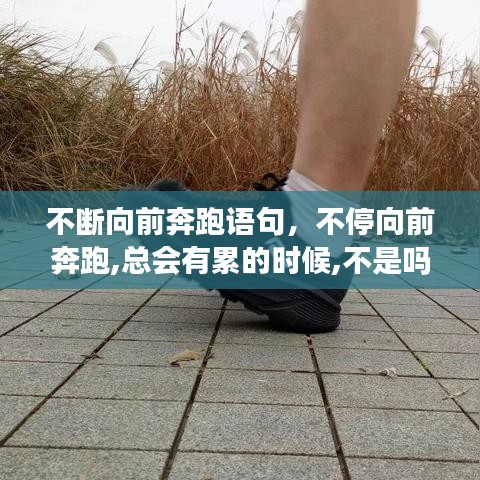 不断向前奔跑语句，不停向前奔跑,总会有累的时候,不是吗? 