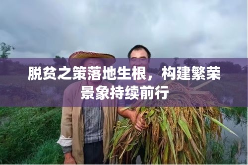 脱贫之策落地生根，构建繁荣景象持续前行