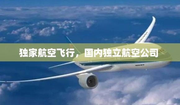 独家航空飞行，国内独立航空公司 