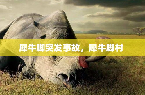 犀牛脚突发事故，犀牛脚村 
