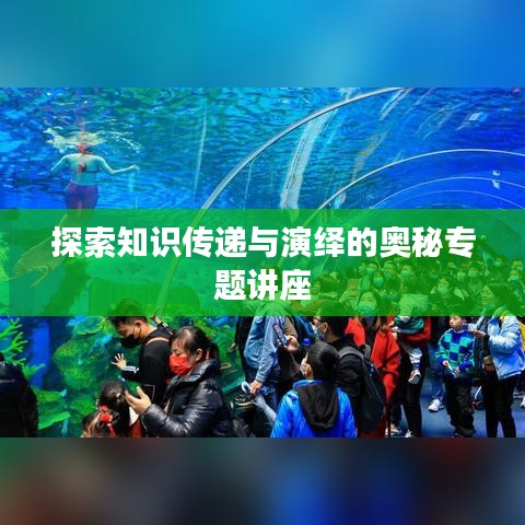 探索知识传递与演绎的奥秘专题讲座