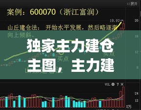 独家主力建仓主图，主力建仓app 