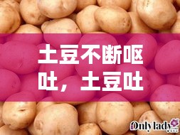 破马张飞 第2页