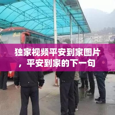 独家视频平安到家图片，平安到家的下一句 
