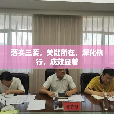 落实三要，关键所在，深化执行，成效显著