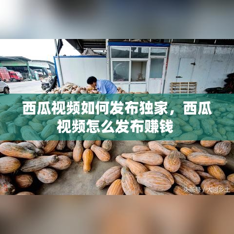 西瓜视频如何发布独家，西瓜视频怎么发布赚钱 