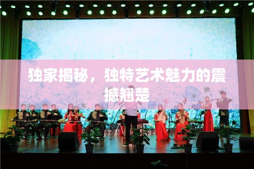 独家揭秘，独特艺术魅力的震撼翘楚