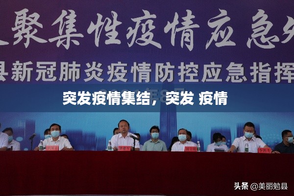 突发疫情集结，突发 疫情 