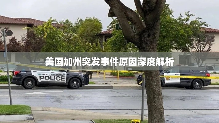 贵不期骄 第2页