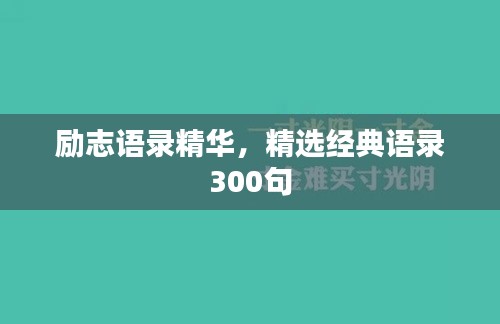 风流儒雅 第2页